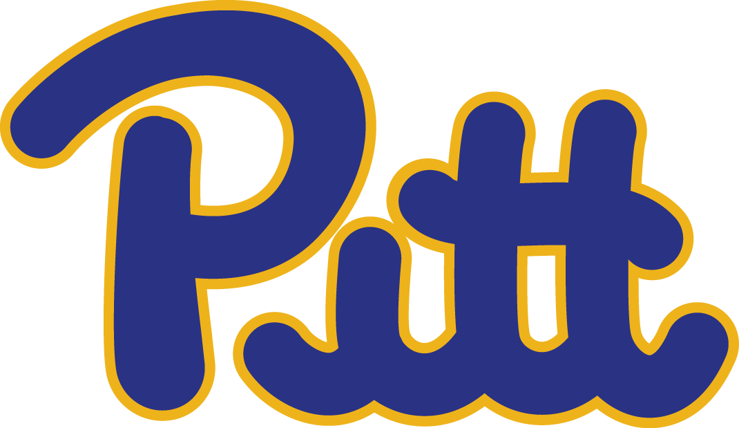 Pittsburgh Panthers 1973-1996 Wordmark Logo v2 diy DTF decal sticker